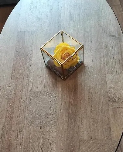 Rustemi ساراندا