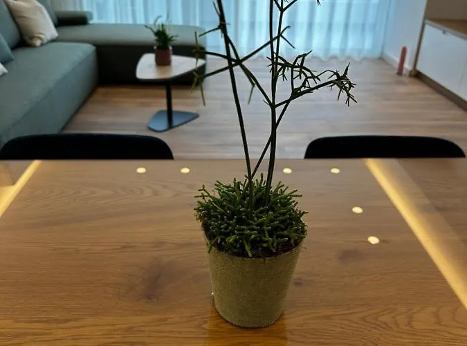 شقة فندقية Rustemi ساراندا