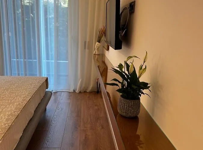 Rustemi ساراندا